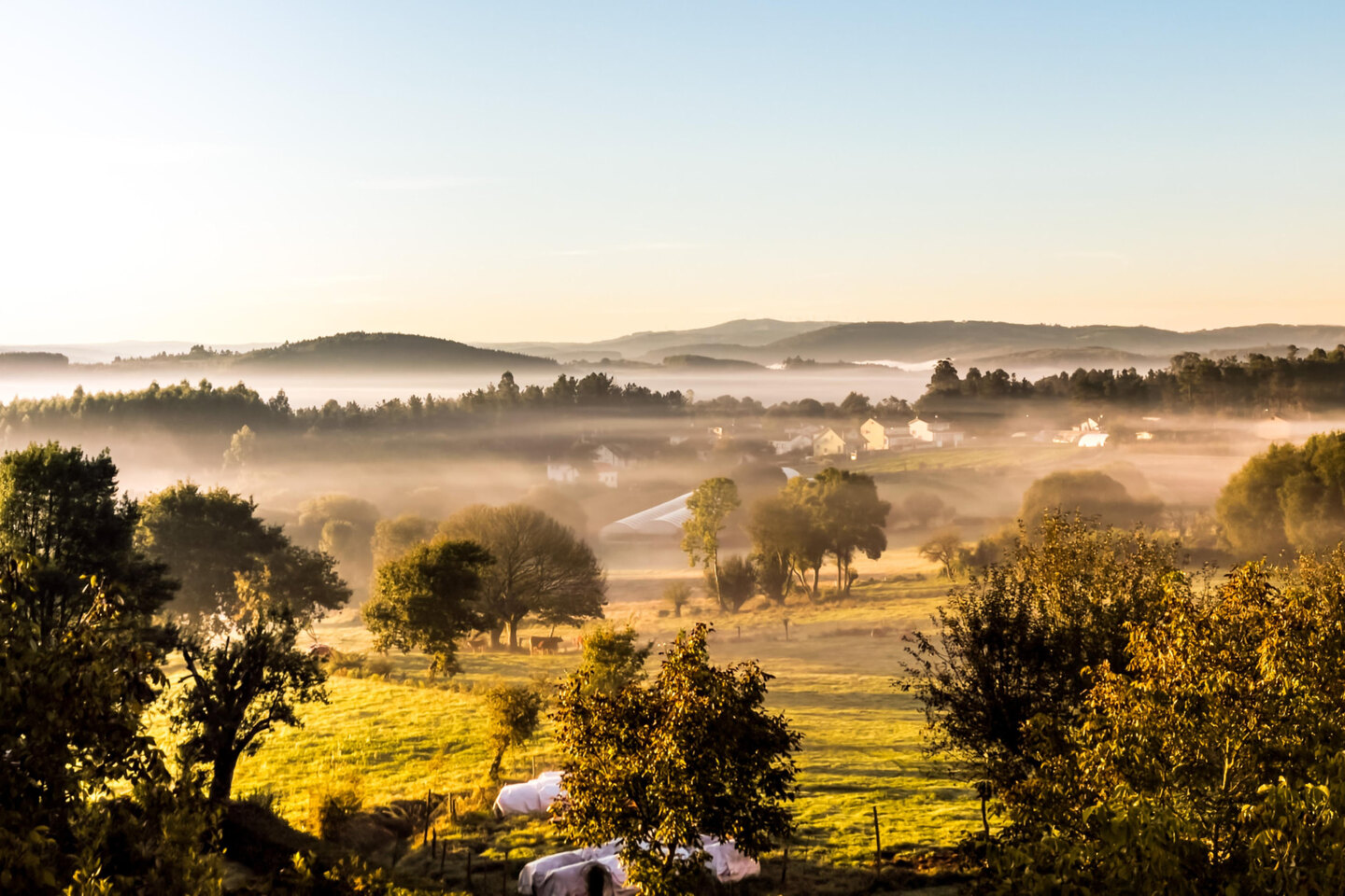 Amanecer sobre el campo gallego entre la niebla