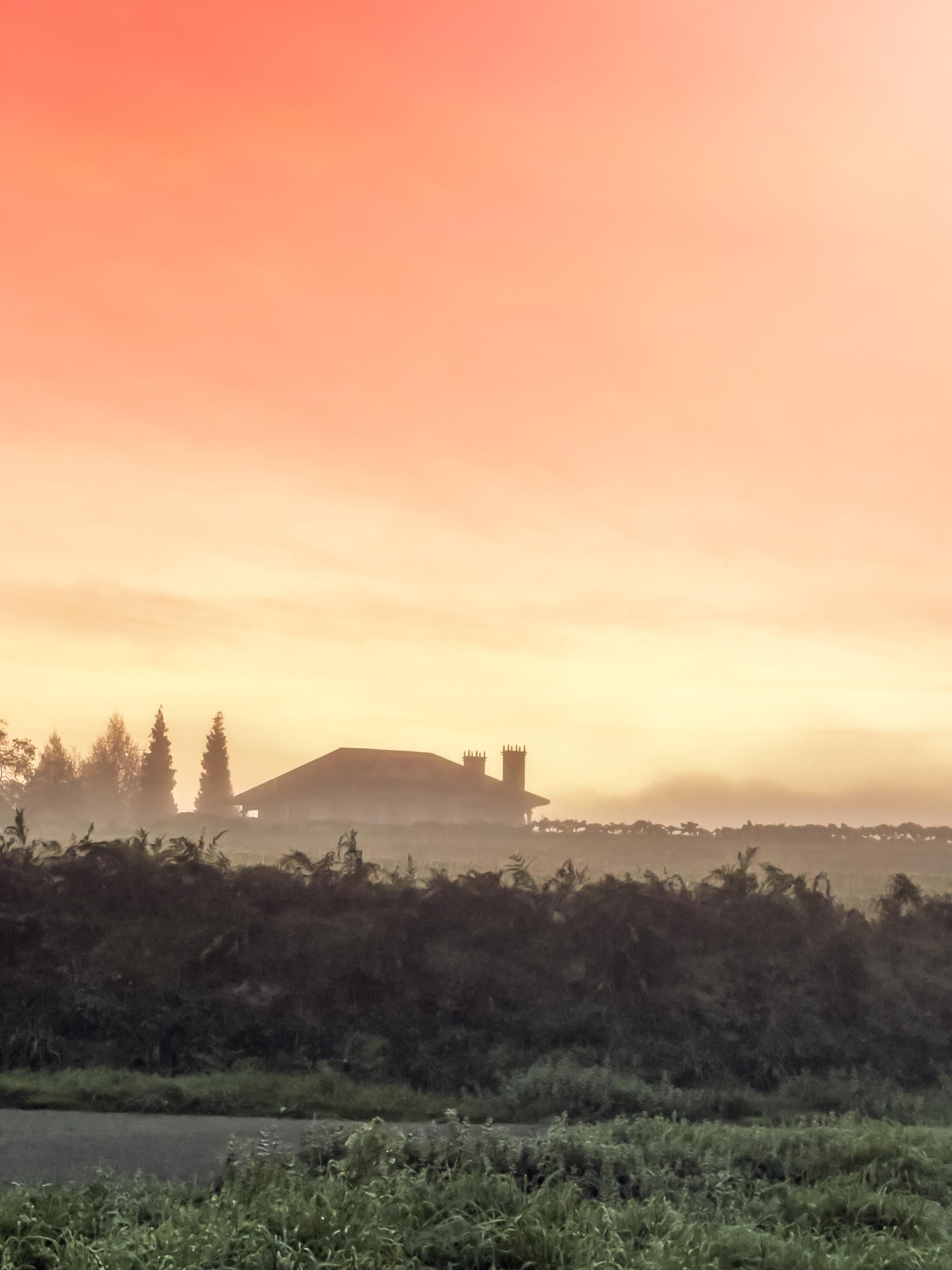 Amanecer entre la niebla, con una casa y dos chimeneas silueteadas y el cielo teñido de naranja